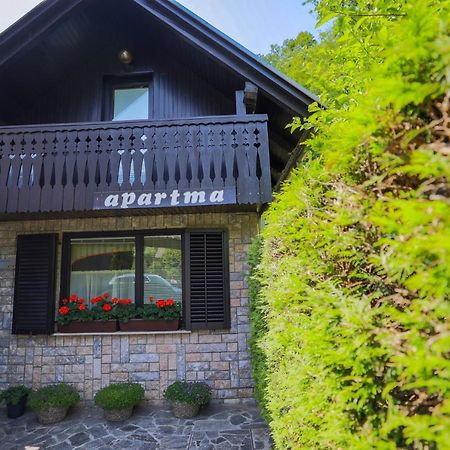 Pocitniska Hisa Zvan Bohinj Exteriér fotografie
